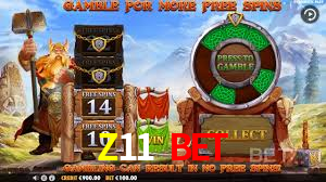 Z11 Bet